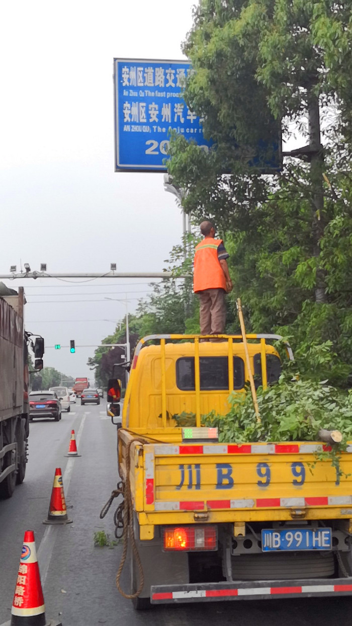 全面清除遮挡物  确保道路畅通安全