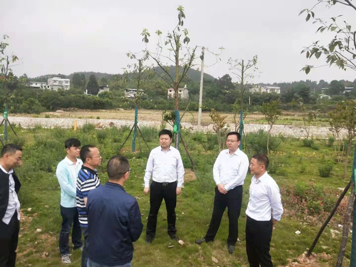 市公路管理处党委书记淳道松一行检查路桥公司管养国省干线及城区桥梁结构安全工作