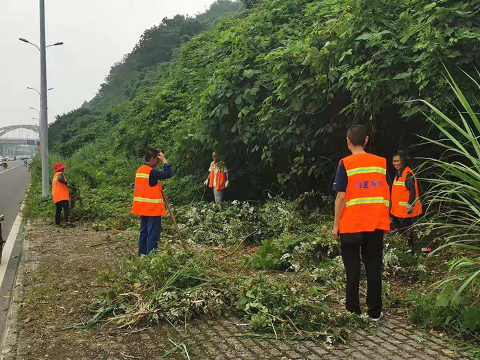 紧密部署   精准施策  路桥公司狠抓道路路域环境集中整治